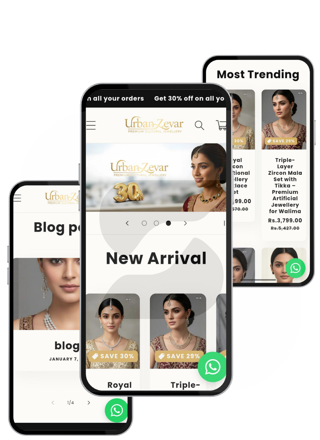 Our Delivered Websites — 6